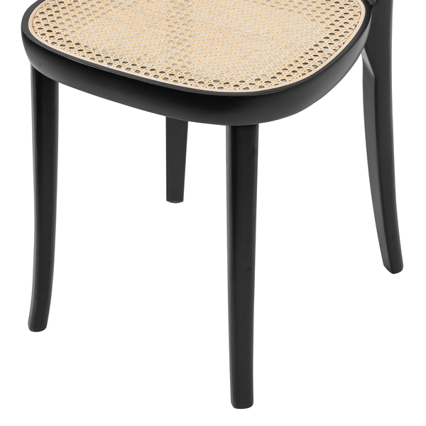 Esszimmerstuhl Darcey (2er-Set) - Polywood & Rattan / Buche massiv - Rattan / Schwarz