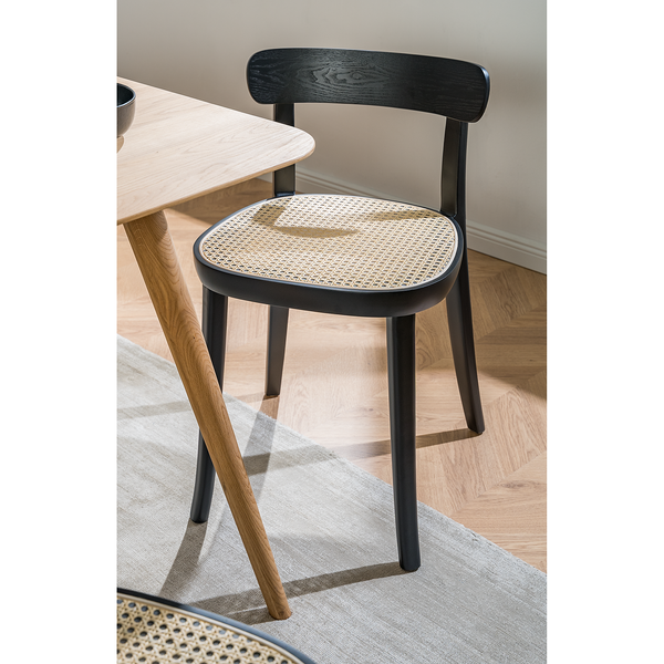 Esszimmerstuhl Darcey (2er-Set) - Polywood & Rattan / Buche massiv - Rattan / Schwarz