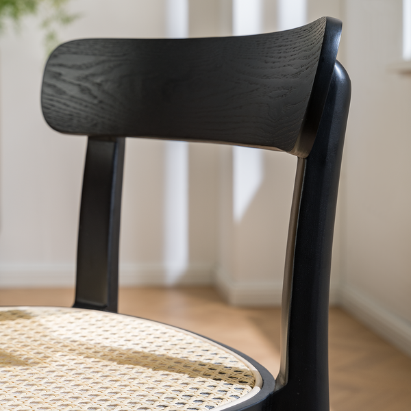 Esszimmerstuhl Darcey (2er-Set) - Polywood & Rattan / Buche massiv - Rattan / Schwarz