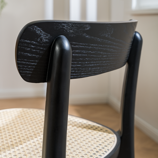 Esszimmerstuhl Darcey (2er-Set) - Polywood & Rattan / Buche massiv - Rattan / Schwarz