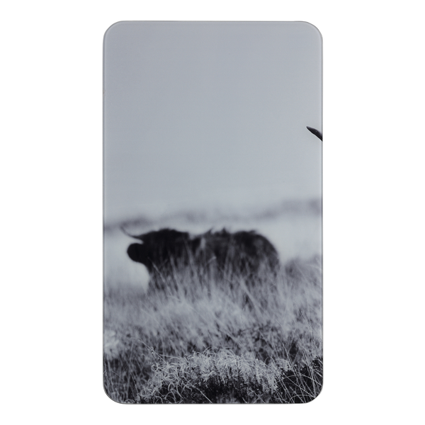 Abdeckplatte Highland Cattle (2er-Set) - Glas - Grau