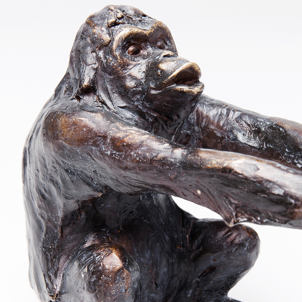 Buchstütze Monkey (2-teilig) - Schwarz - Stein