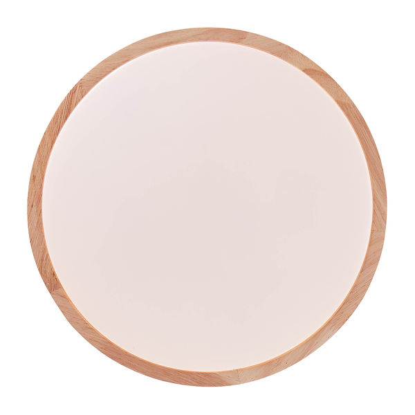 LED-Deckenleuchte Slimline - Acrylglas / Eisen - 1-flammig