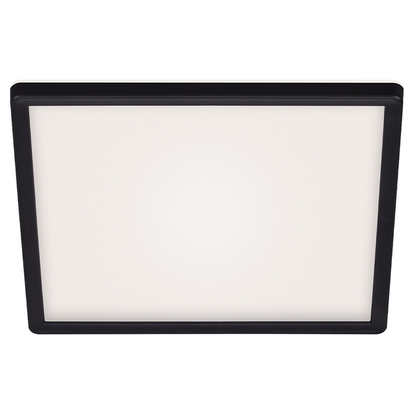 LED-Deckenleuchte Slim XI - Polycarbonat - 1-flammig