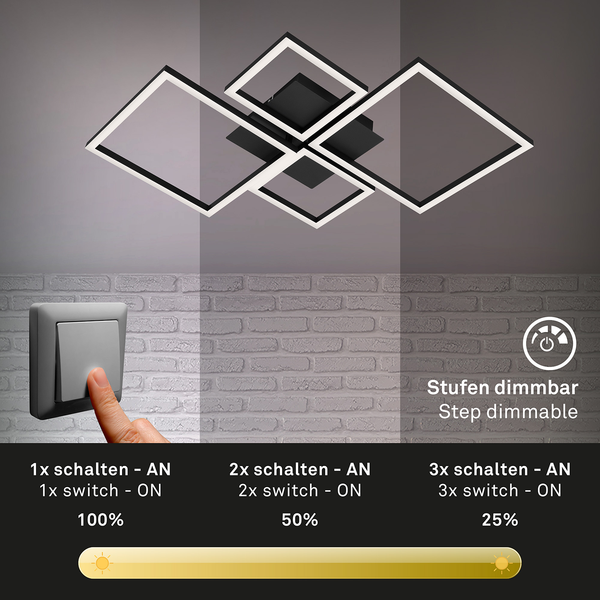 LED-Deckenleuchte Frame V - Polycarbonat / Eisen - 1-flammig