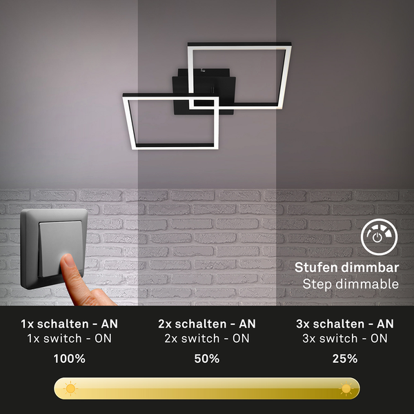LED-Deckenleuchte Frame VI - Polycarbonat / Eisen - 1-flammig