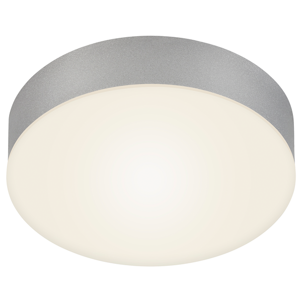 LED-Deckenleuchte Flame I - Polycarbonat / Eisen - 1-flammig - Silber - Durchmesser: 16 cm