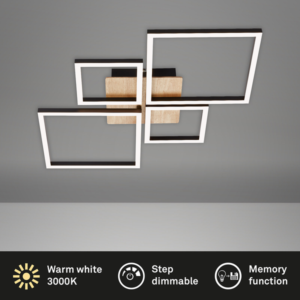 LED-Deckenleuchte Frame VII - Polycarbonat / Eisen - 1-flammig