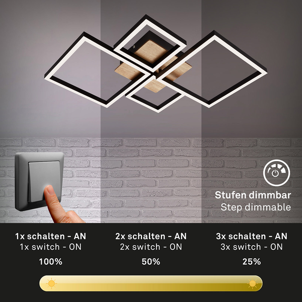 LED-Deckenleuchte Frame VII - Polycarbonat / Eisen - 1-flammig
