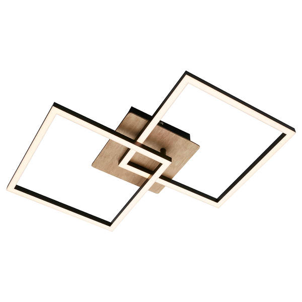 LED-Deckenleuchte Frame VIII - Polycarbonat / Eisen - 1-flammig