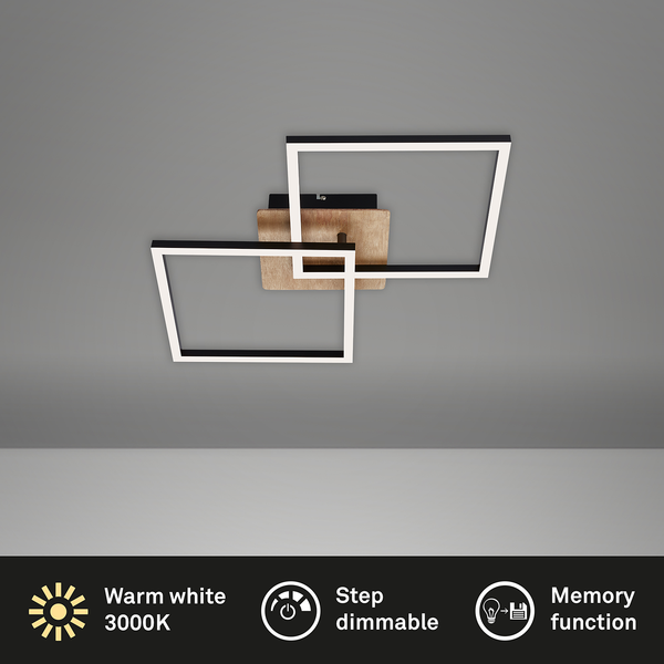 LED-Deckenleuchte Frame VIII - Polycarbonat / Eisen - 1-flammig