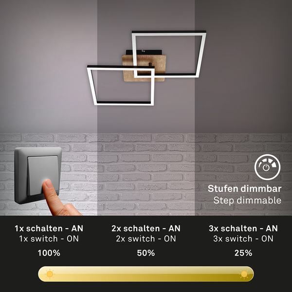 LED-Deckenleuchte Frame VIII - Polycarbonat / Eisen - 1-flammig