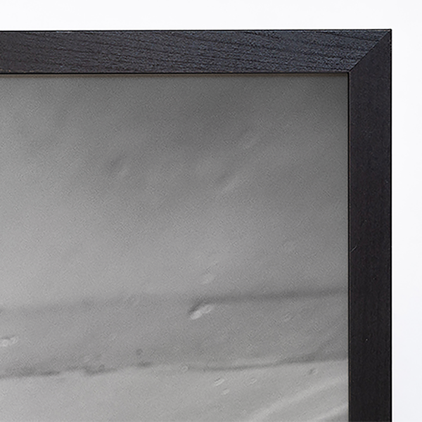 Bild Ready to surf - Buche massiv / Plexiglas - 53 x 63 cm