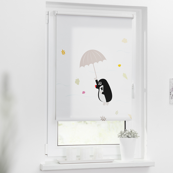 Klemmfix Rollo Maulwurf - Polyester - Mehrfarbig - 45 x 150 cm