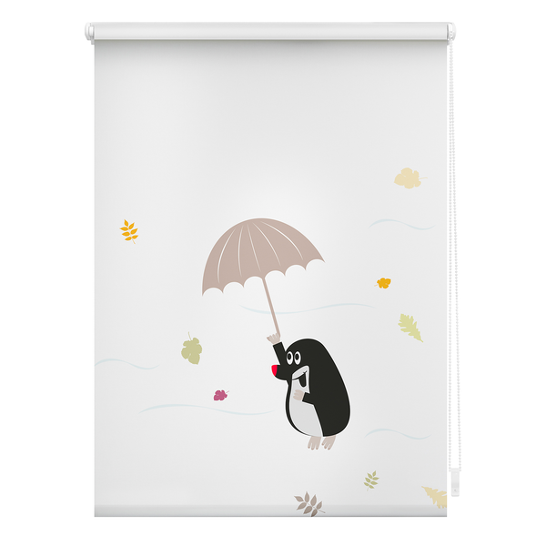 Klemmfix Rollo Maulwurf - Polyester - Mehrfarbig - 45 x 150 cm