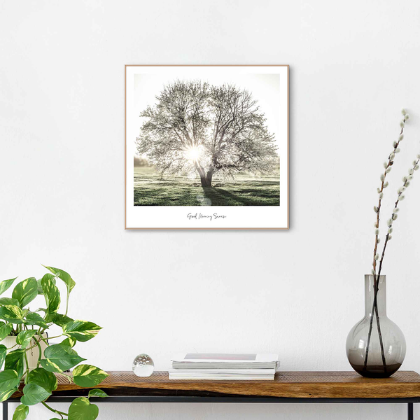 Gerahmtes Bild Morgensonne Baum - Print in Holzrahmen - Grün