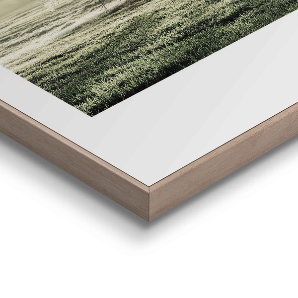 Gerahmtes Bild Morgensonne Baum - Print in Holzrahmen - Grün