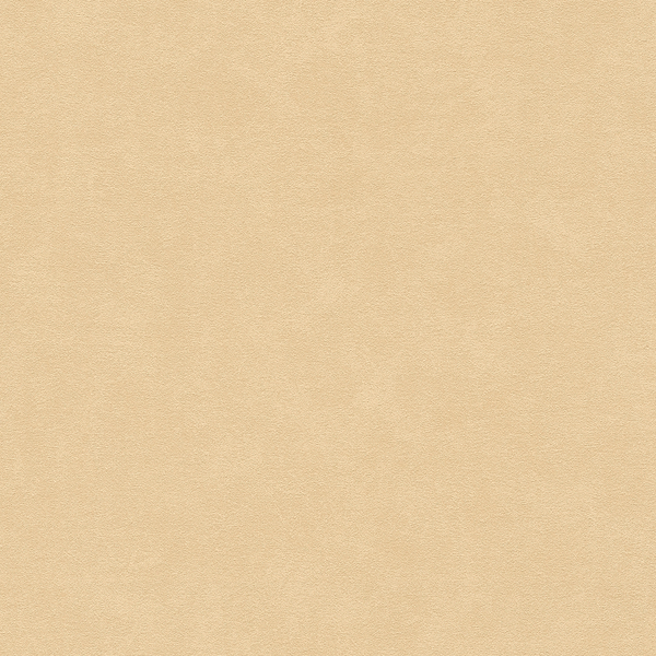 Vliestapete Lucas - Vlies - Beige
