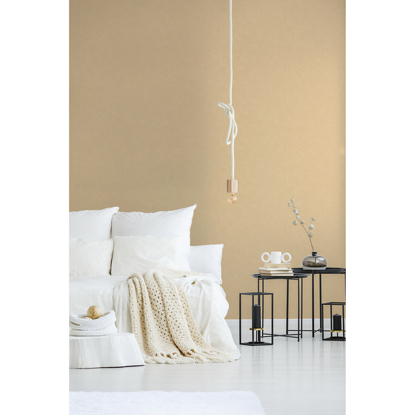 Vliestapete Lucas - Vlies - Beige