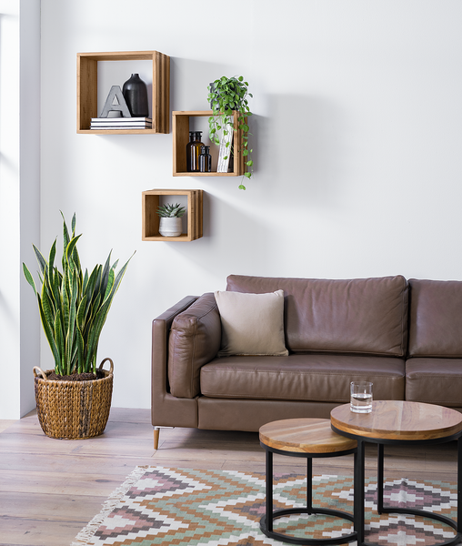 Wandregal TAMATI 3er-Set - Pinie massiv