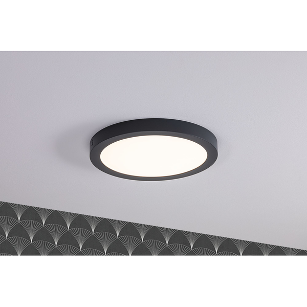 LED-Deckenleuchte Abia - Polycarbonat / Metall - 1-flammig - Dunkelgrau