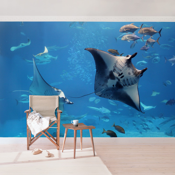 Vliestapete Manta Ray - Vliespapier - Blau - 432 x 290 cm