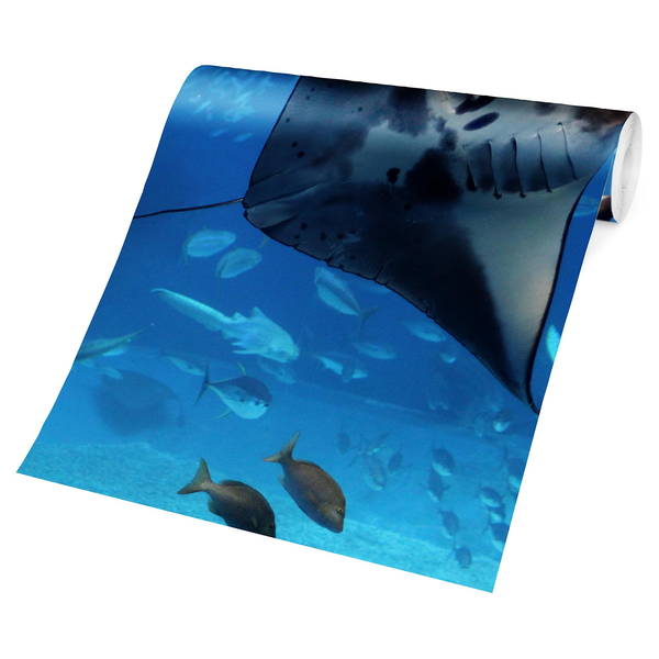 Vliestapete Manta Ray - Vliespapier - Blau - 432 x 290 cm