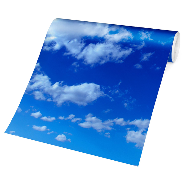 Vliestapete Wolkenhimmel - Vliespapier - Blau - 432 x 290 cm