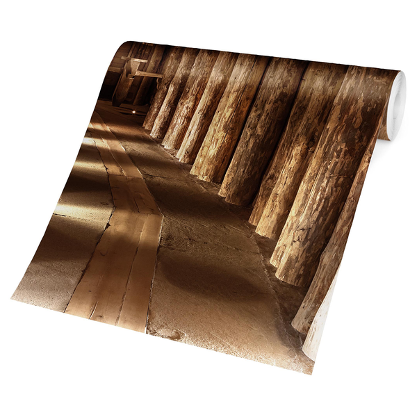 Vliestapete Alte Goldmine - Vliespapier - Braun - 432 x 290 cm