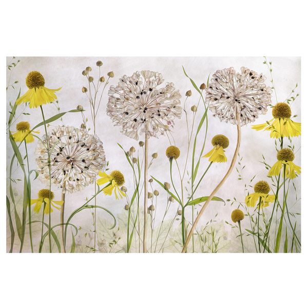 Vliestapete Allium und Helenium - Vliespapier - Beige - 432 x 290 cm