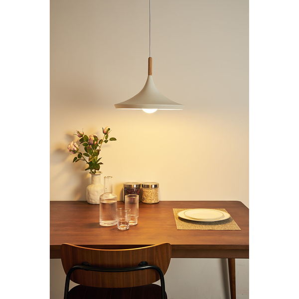 Pendelleuchte Pure Shine - Aluminium - 1-flammig