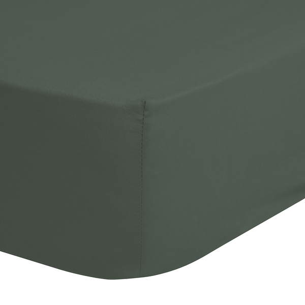 Satin-Spannbettlaken Kelly - Baumwolle - Grün - 100 x 200 cm