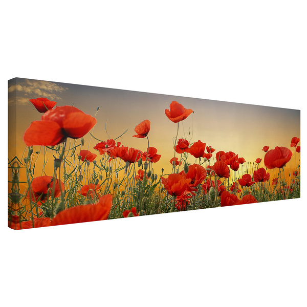 Leinwandbild Mohnblumenfeld I - Rot - 150 x 50 x 2 cm - Breite: 150 cm