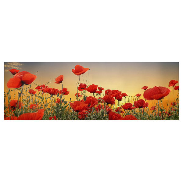 Leinwandbild Mohnblumenfeld I - Rot - 150 x 50 x 2 cm - Breite: 150 cm