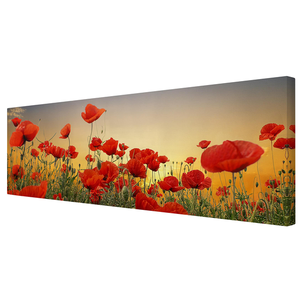 Leinwandbild Mohnblumenfeld I - Rot - 150 x 50 x 2 cm - Breite: 150 cm