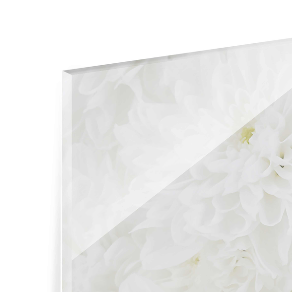 Glasbild Dahlien Blumenmeer - Weiß - 80 x 30 x 0,4 cm - 80 x 30 cm