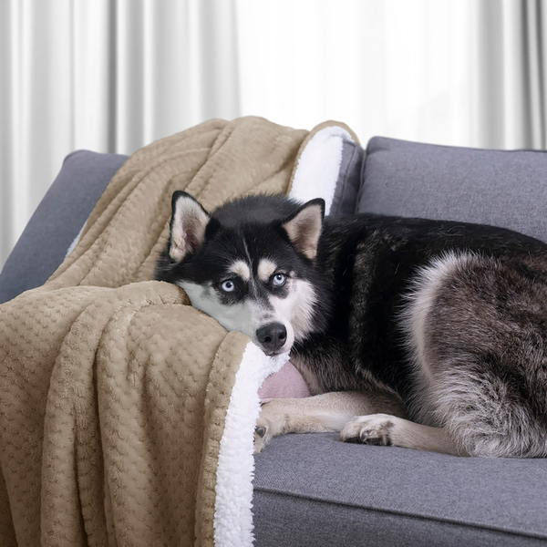 Kuscheldecke Leepy - Polyester - Cappuccino - 130 x 180 cm