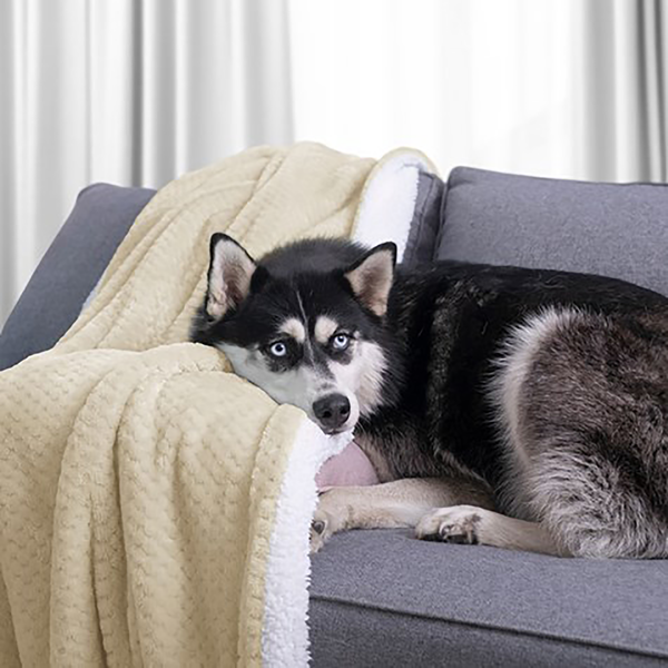 Kuscheldecke Leepy - Polyester - Beige - 220 x 240 cm