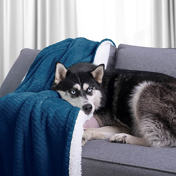 Kuscheldecke Leepy - Polyester - Dunkelblau - 130 x 180 cm