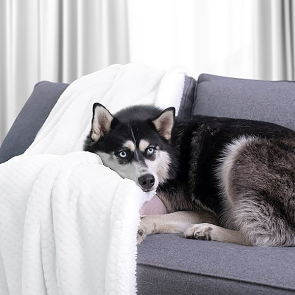 Kuscheldecke Leepy - Polyester - Weiß - 130 x 180 cm