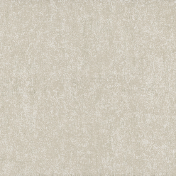Vliestapete Concrete Beton - Beige - 0,52m  x 10,05m  x 0,02m - Cappuccino