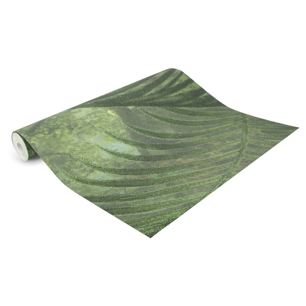 Vlies Fototapete Peacock II - Grün - 2m  x 2,8m  x 0,02m