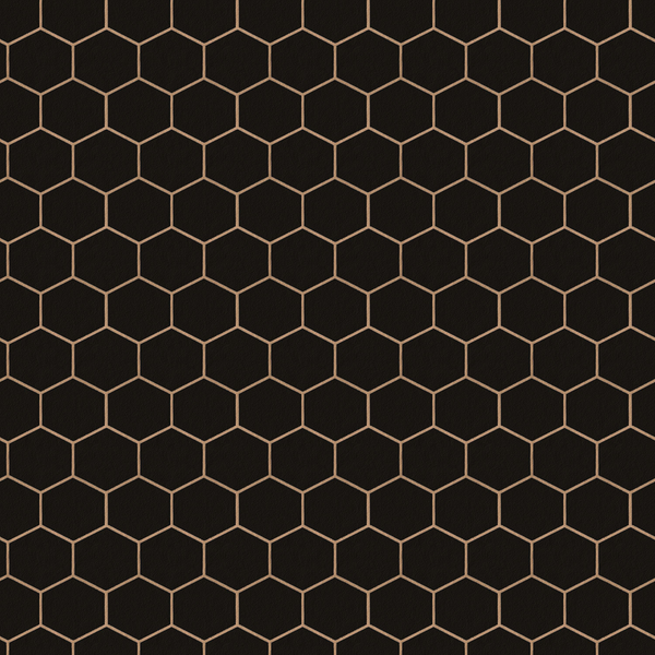 Vliestapete Hexagon Geo - Schwarz - 0,52m  x 10,05m  x 0,02m - Schwarz / Gold