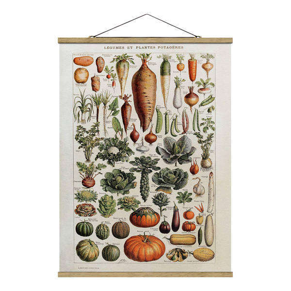 Stoffbild Vintage Lehrtafel Gemüse - Textil; Massivholz (Holzart) - Grün - 100cm x 133,5cm x 0,3cm - 100 x 134 cm