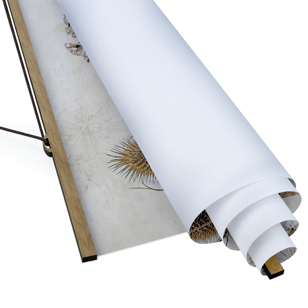 Stoffbild Growing Old I - Textil; Massivholz (Holzart) - Beige - 50cm x 50cm x 0,3cm - 50 x 50 cm