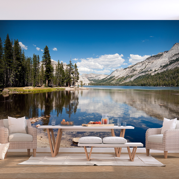 Vlies Fototapete Tenaya Lake - Vlies - Mehrfarbig - 300 x 210 cm