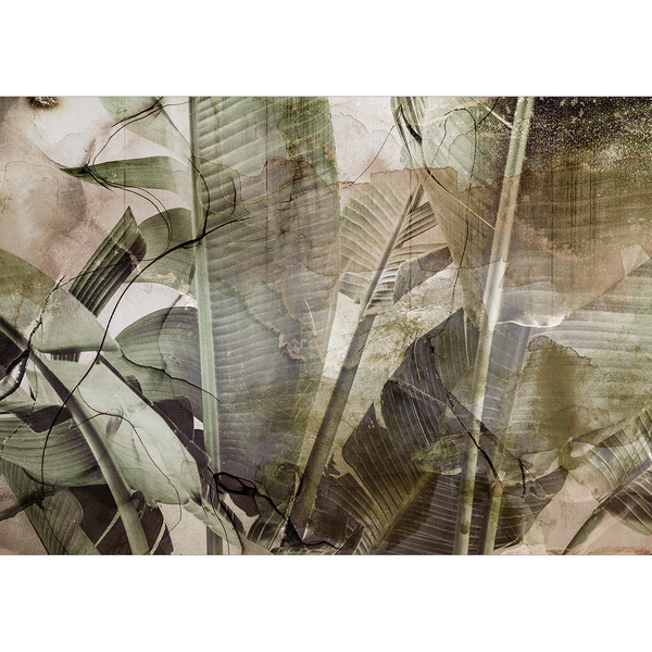 Vlies Fototapete Banana Jungle - Vlies - Grün - 100 x 70 cm