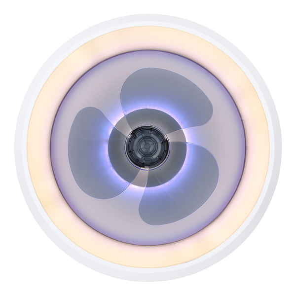 LED-Deckenventilator Joey Typ B - Acrylglas / Eisen - 1-flammig