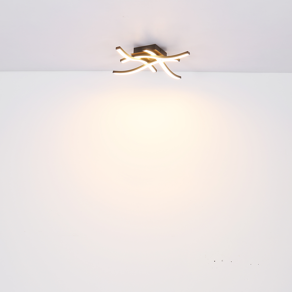 LED-Deckenleuchte Evita II - Acryl / Eisen - 1-flammig