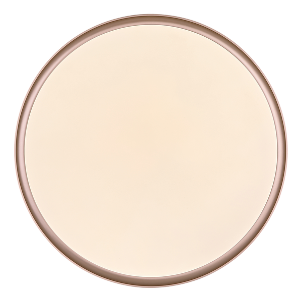 LED-Deckenleuchte Manni - Acrylglas / Eisen - 1-flammig - Durchmesser: 49 cm